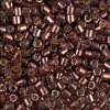 Delica Beads 3mm (#1843) - 25g