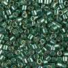 Delica Beads 3mm (#1845) - 25g