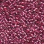 Delica Beads 3mm (#1848) - 25g