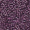 Delica Beads 3mm (#1850) - 25g