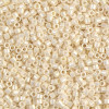 Delica Beads 2.2mm (#203) - 50g