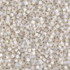 Delica Beads 2.2mm (#221) - 50g