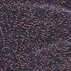 Delica Beads 2.2mm (#312) - 50g