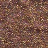 Delica Beads 2.2mm (#501) - 25g