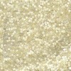 Delica Beads 2.2mm (#673) - 50g