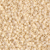 Delica Beads 2.2mm (#883) - 50g