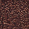 Delica Beads 2.2mm (#1843) - 25g