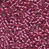 Delica Beads 2.2mm (#1848) - 25g