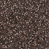 Delica Beads 1.3mm (#184) - 25g