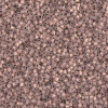 Delica Beads 1.3mm (#191) - 25g