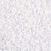 Delica Beads 1.3mm (#202) - 25g