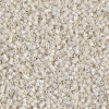 Delica Beads 1.3mm (#211) - 25g