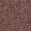 Delica Beads 1.3mm (#340) - 25g