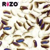 Rizo 비즈 2.5*6mm - 50g(약 750개)